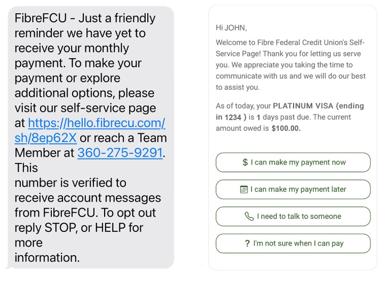 Payment Text Examples